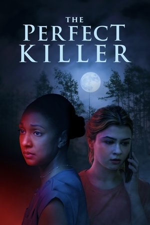 Nonton The Perfect Killer Gratis