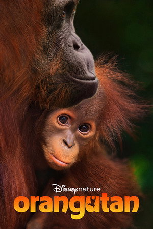 Nonton Orangutan Online