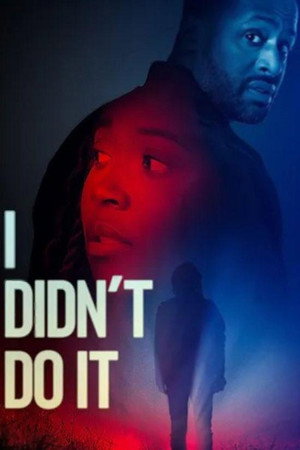 Nonton I Didn’t Do It Gratis